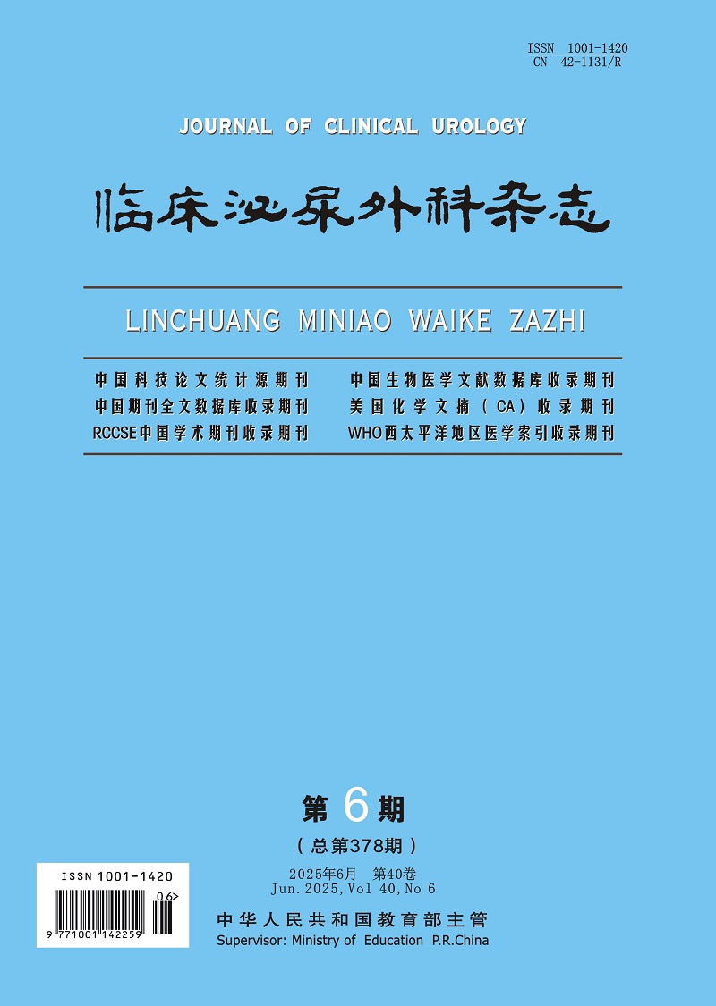 临床泌尿外科杂志