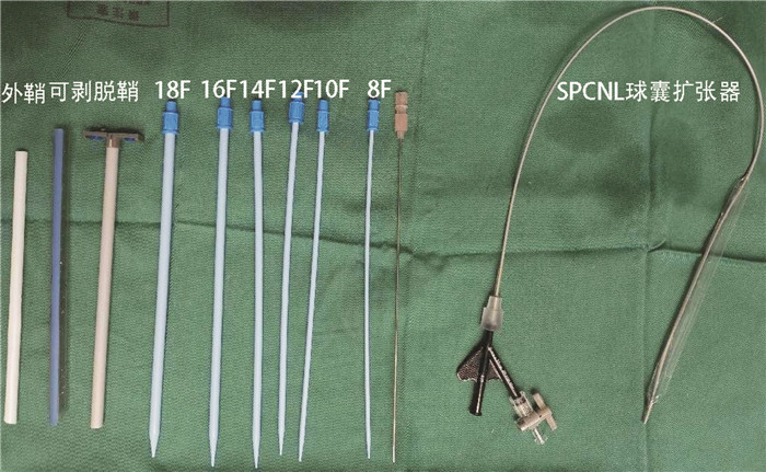 Analysis of the efficacy and safety of standard channel and miniature ...